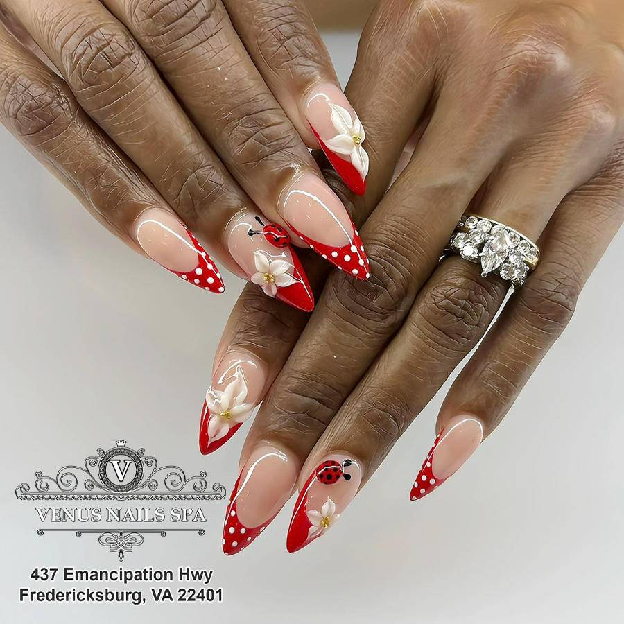 【中古】 Nail　venus（vol．4） Venus Nails & Spa | Woodhaven MI